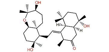 Sipholenol J